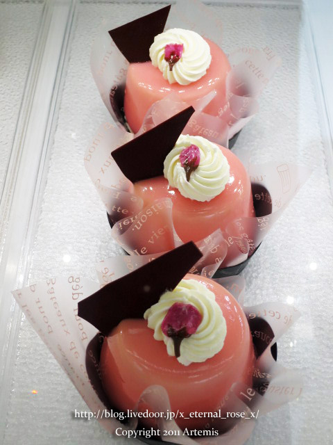 18.4.8 白十字円山 (9)