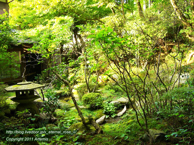 10.10.18.5 宝泉院  (4)