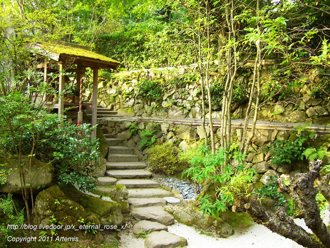 10.10.18.5 宝泉院  (22)
