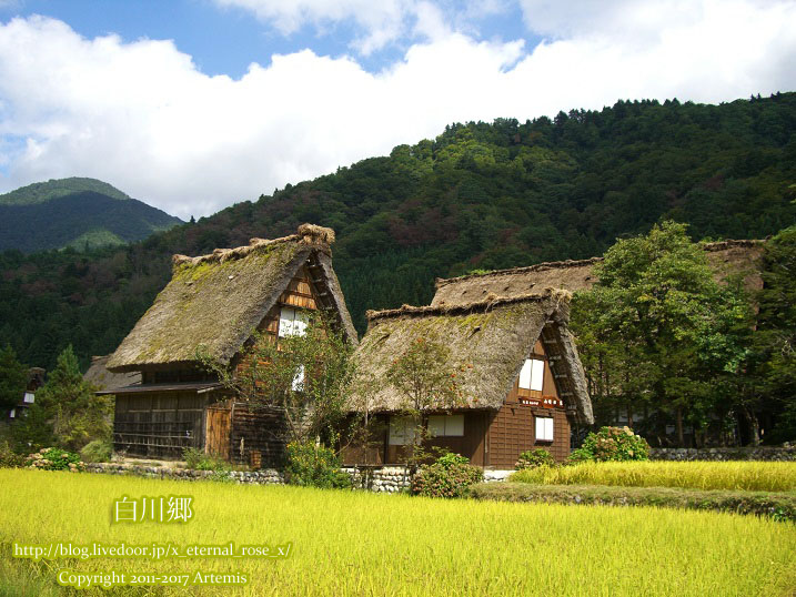 5 白川郷 (4)
