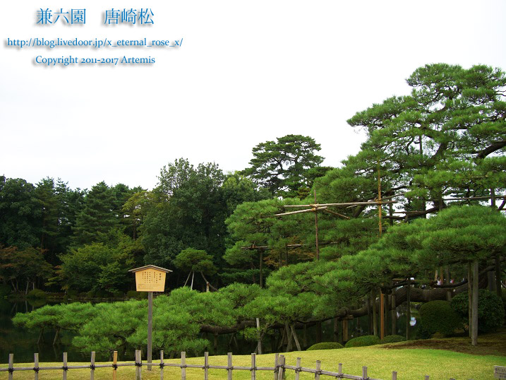 2 兼六園 (44)