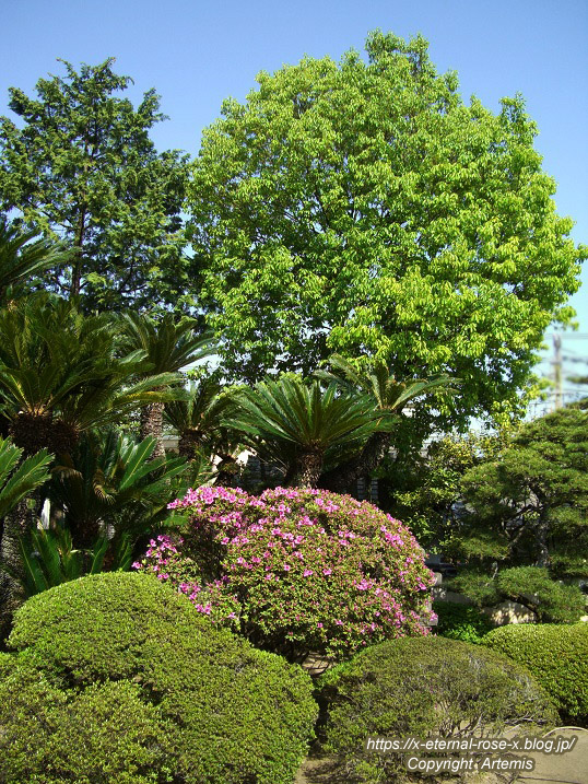 11.5.5.3 旧野﨑家住宅 野﨑家塩業歴史館 (11)