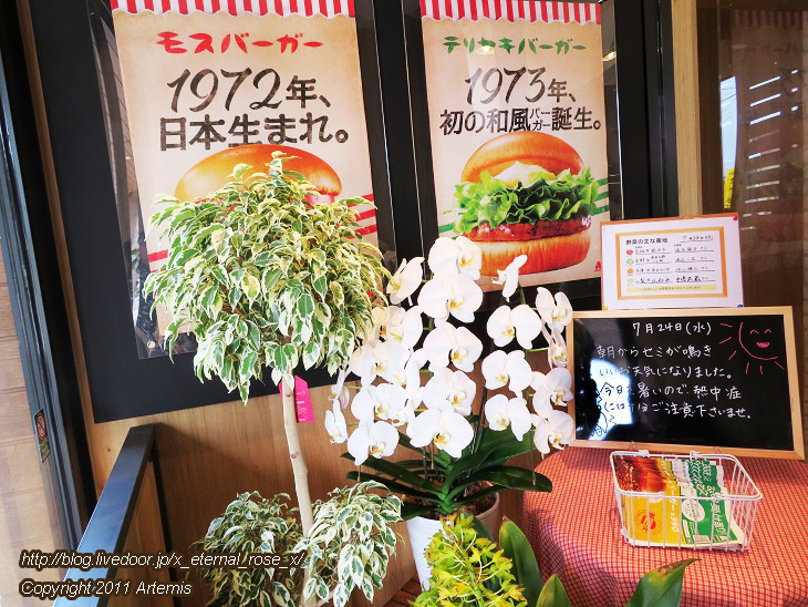 19.7.24 モスバーガー 岡山けやき通り店 (14)