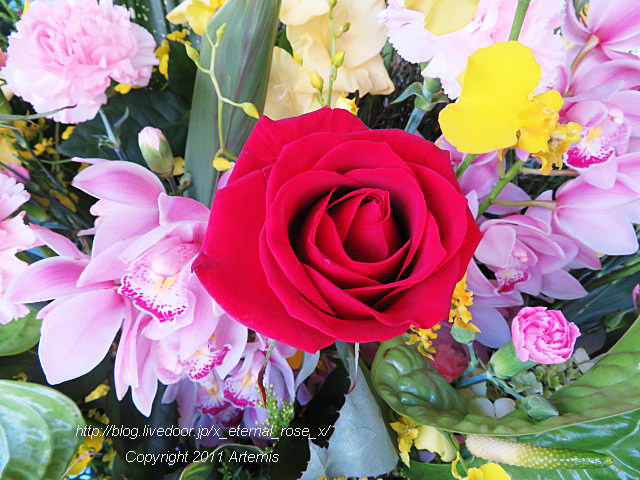 20.1.18.1 岡山はハレの日  (21)