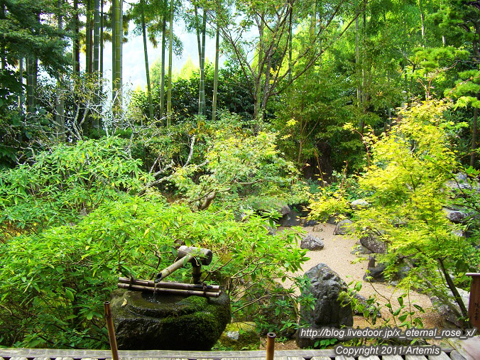 10.10.18.5 宝泉院  (12)