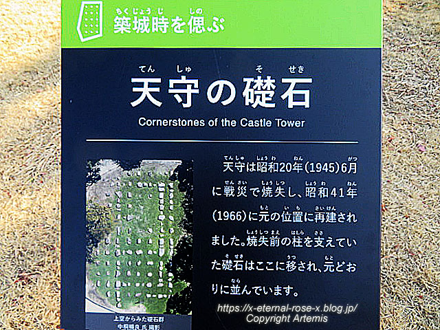 23.1.1.1 岡山城  (48)