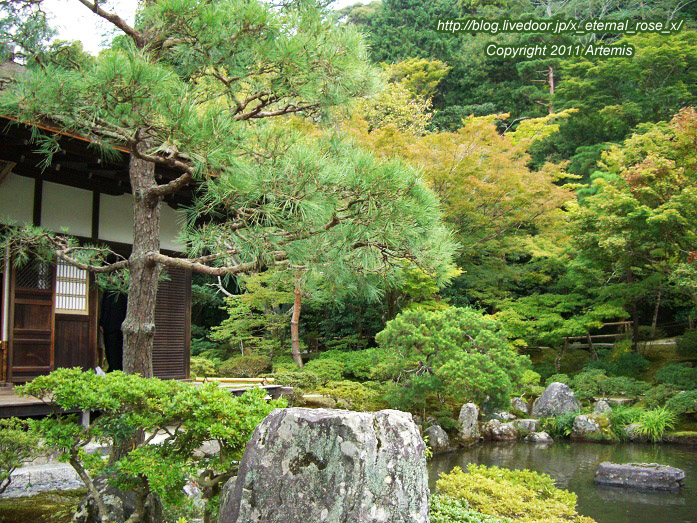 10.10.19.1 銀閣寺 (24)