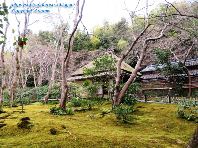 20.3.19.9 祇王寺  (24)