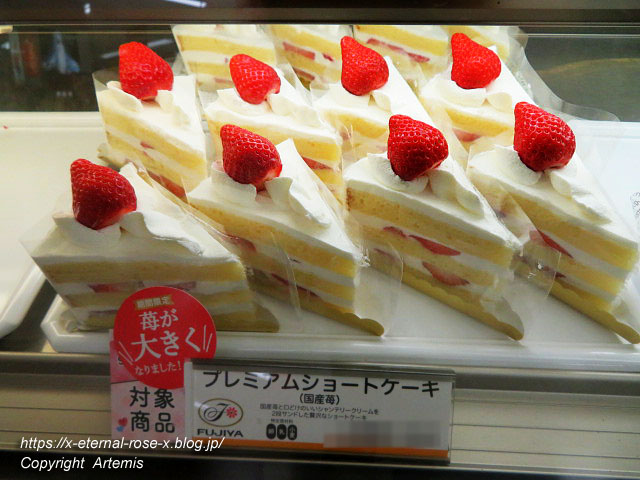 21.3.4 FUJIYA KOBE ゆめタウン平島店 (30)