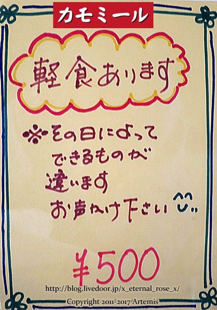 19 カモミール (9)