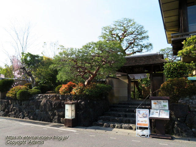 22.4.7 sonoka そばの実スイーツ  (107)