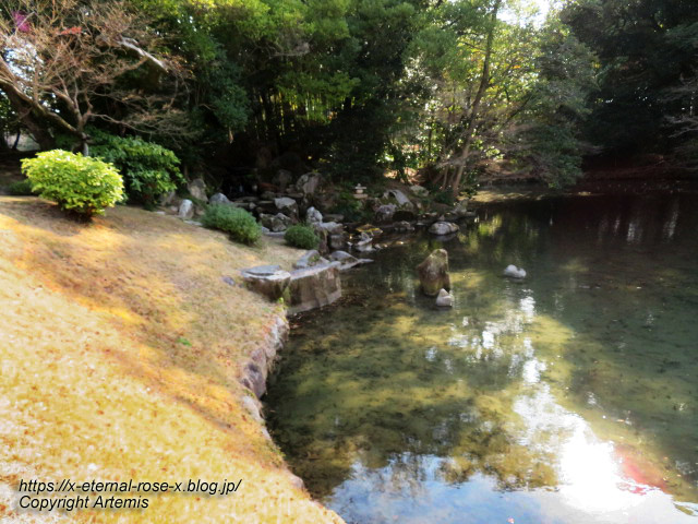 23.1.1.6 岡山後楽園 (24)
