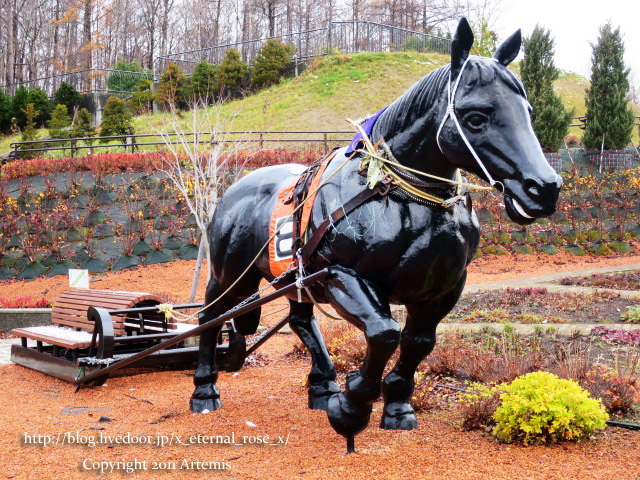 18.11.21.7 岩見沢サービスエリア下り もりもと 雪鶴   (8)