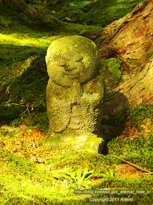 10.10.18.4 三千院 (33)