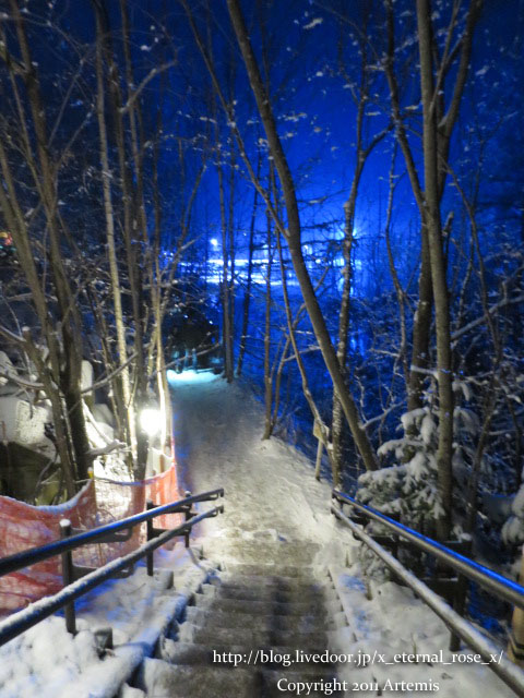 18.11.21.9 青い池  (6)