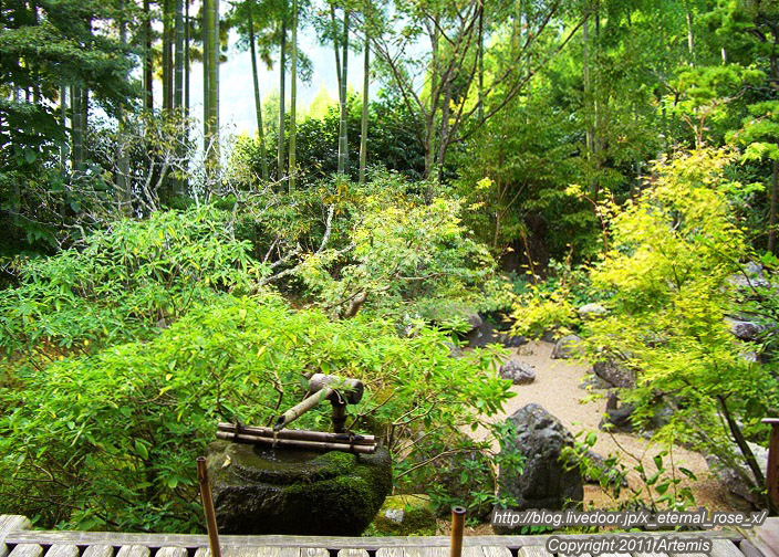 10.10.18.5 宝泉院  (16)