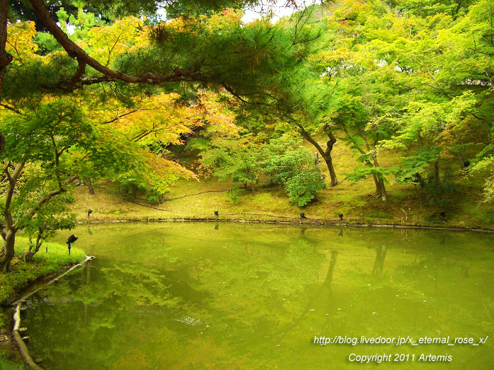 10.10.20.9 高台寺  (22)