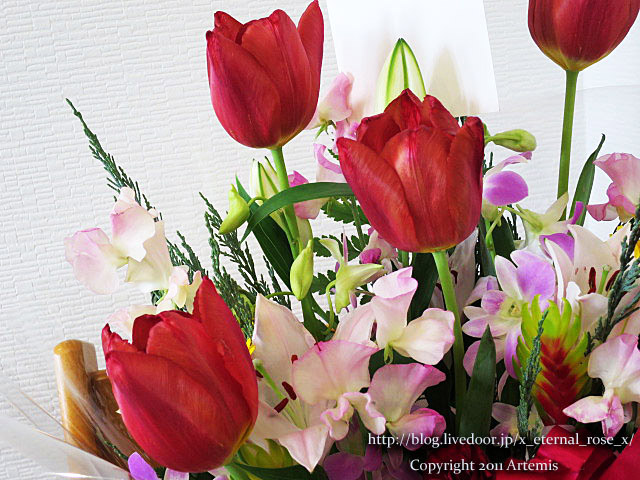 18.1.16ヤキガシミニョン  (50)