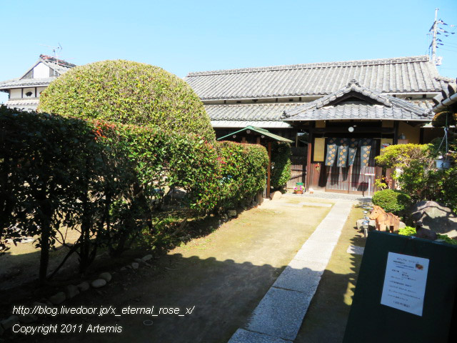 20.2.24.1 nobu  (3)