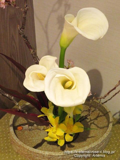 22.3.20 かに道楽岡山店  (10)