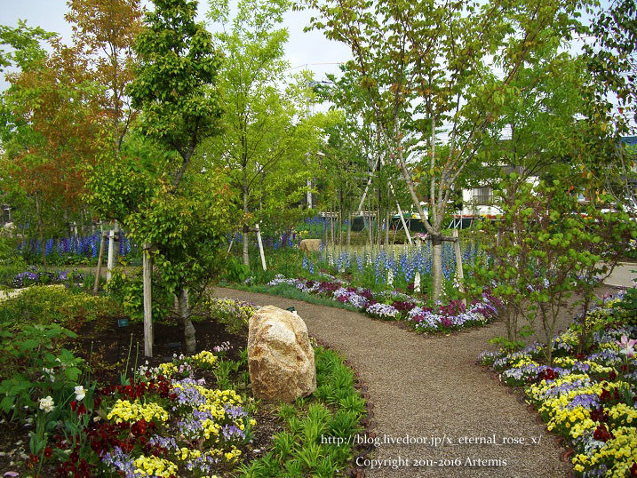 27 おかやま花だより  (60)