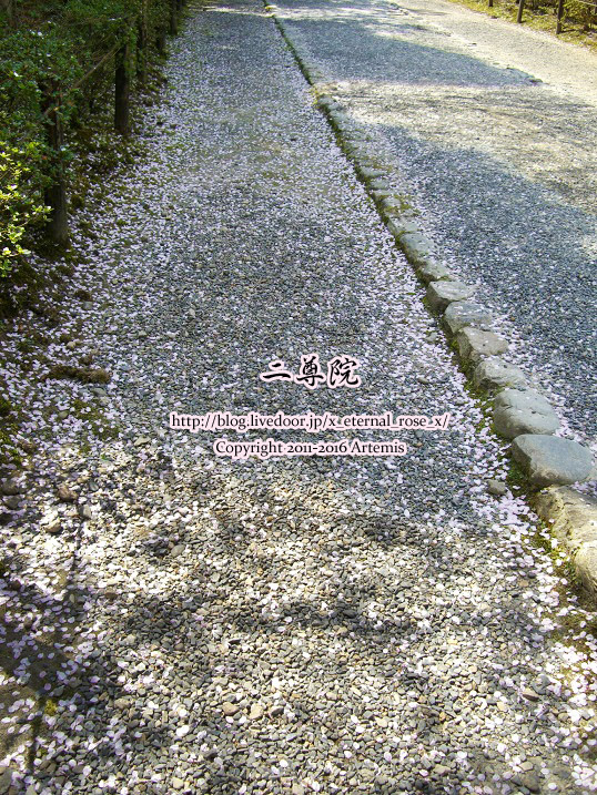 5 二尊院 (6)