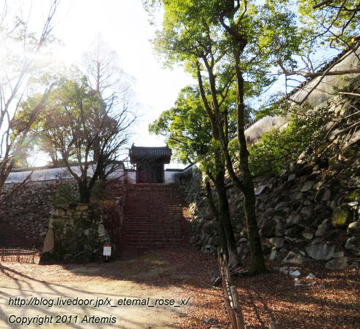 20.1.1.1 岡山城  (10)