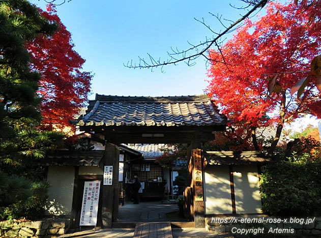 19.11.23.9 法金剛院  (5)