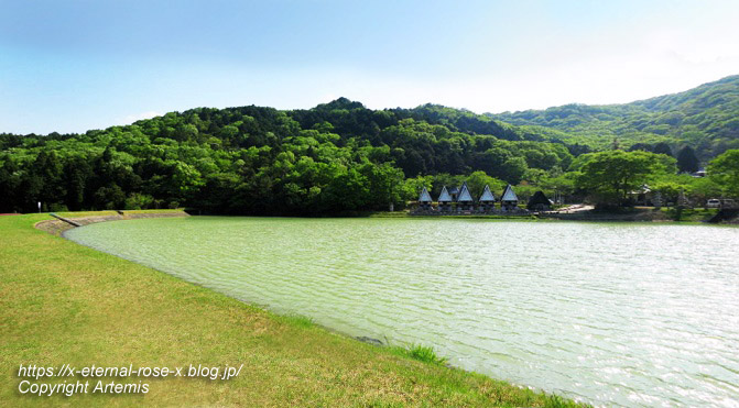 17.5.1.9 太陽公園  石のエリア (88)