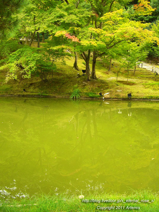 10.10.20.9 高台寺  (24)