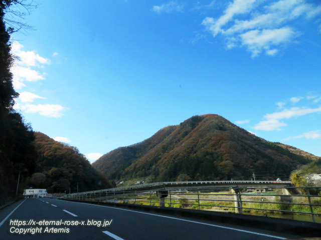 20.11.21.4朝日堂 (4)