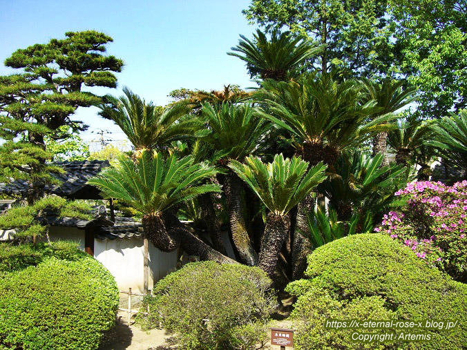 11.5.5.3 旧野﨑家住宅 野﨑家塩業歴史館 (13)