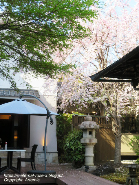 22.4.7 sonoka そばの実スイーツ  (27)