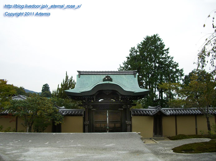 10.10.20.9 高台寺 (17)