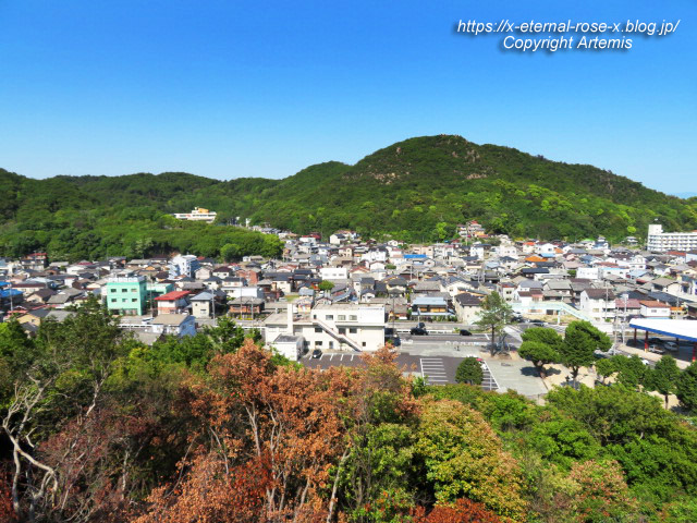 22.5.3.6 玉比咩神社 (64)