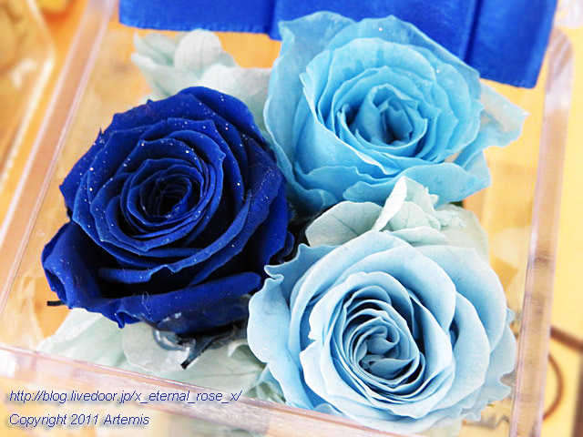 19.10.20.2 ブルーローズコーヒー  (8)