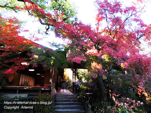 19.11.23.7 妙心寺 退蔵院  (76)