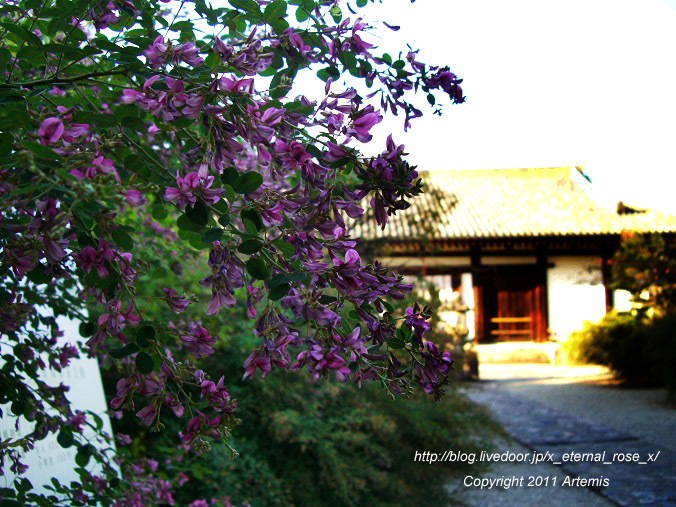 10.10.17.5 新薬師寺 (3)