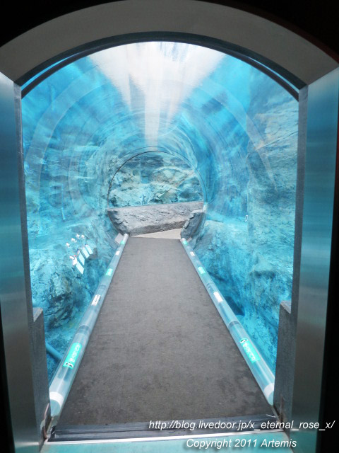 18.11.22.18 旭山動物園  (2)