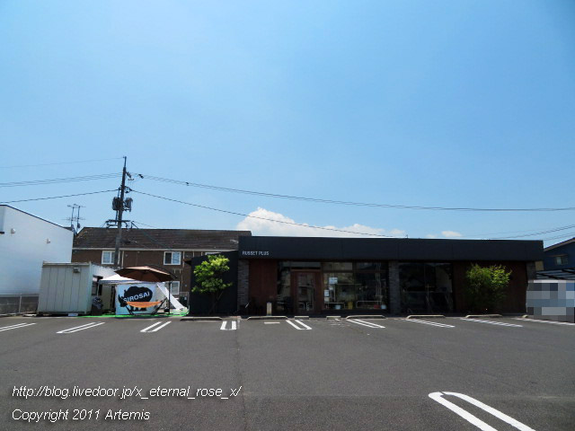 19.8.17 シロサイ (24)