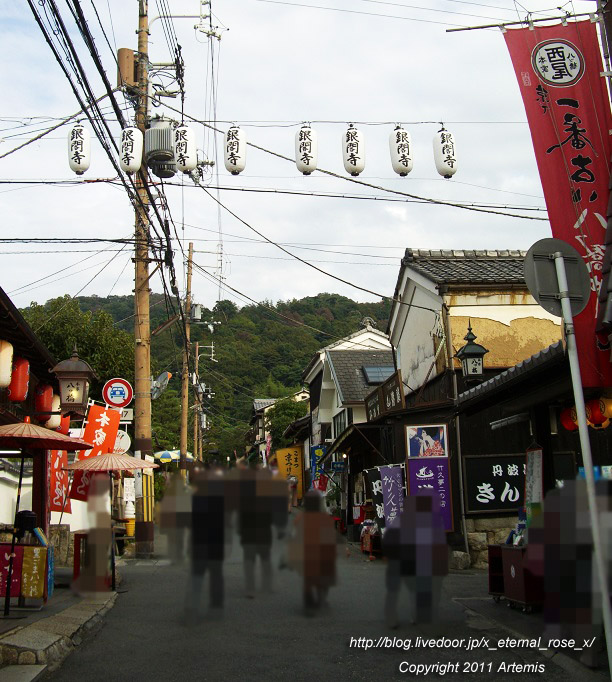 10.10.19.1 銀閣寺 (2)
