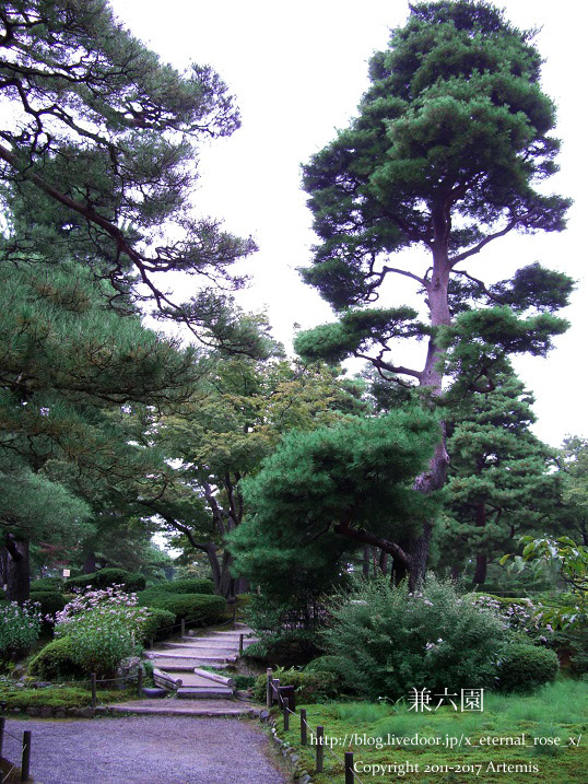 2 兼六園 (2)