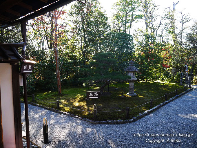 19.11.23.7 妙心寺 退蔵院  (105)