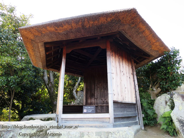 19.1.1.1 後楽園  (34)