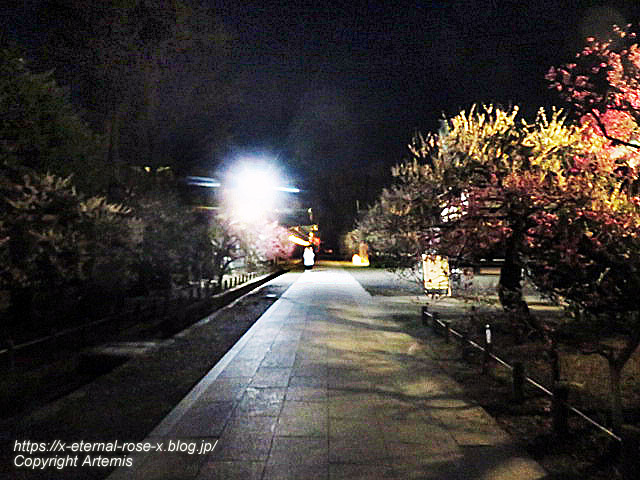 23.3.3. 北野天満宮 (141)