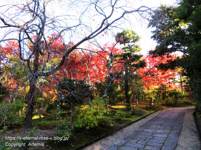 19.11.23.9 法金剛院  (10)