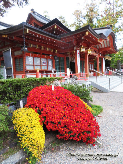 19.11.26.4 長岡天神 (50)