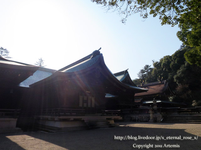 18.1.20 吉備津彦神社  (28)