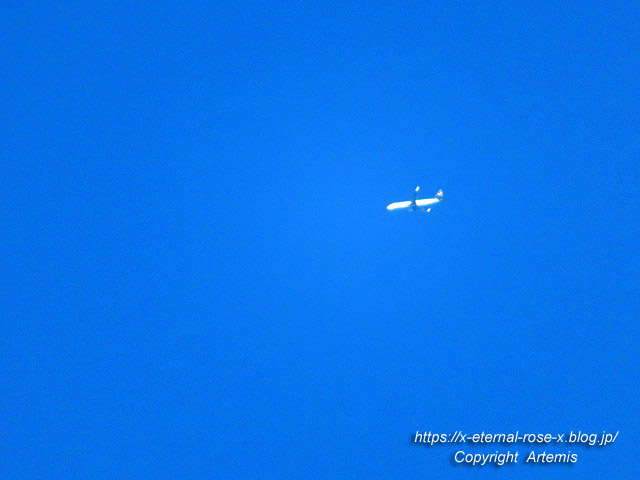 19.11.23.5 海福院 (5)