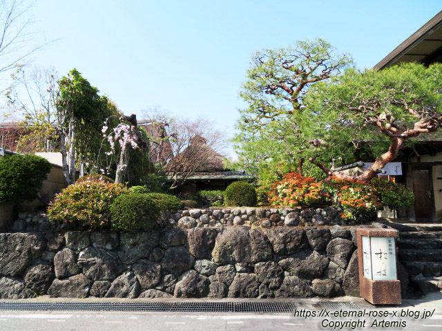 22.4.7 sonoka そばの実スイーツ  (8)